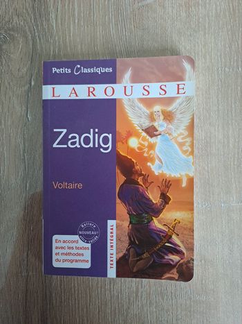 Zadig de Voltaire