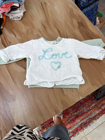 Lot 2 pulls chaud 3 mois