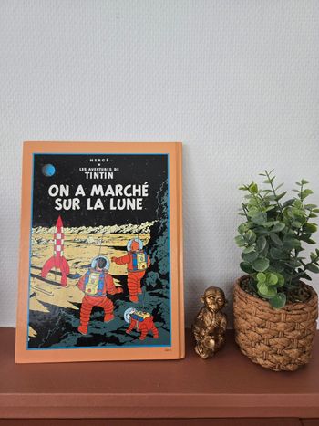 Lot de double bd tintin