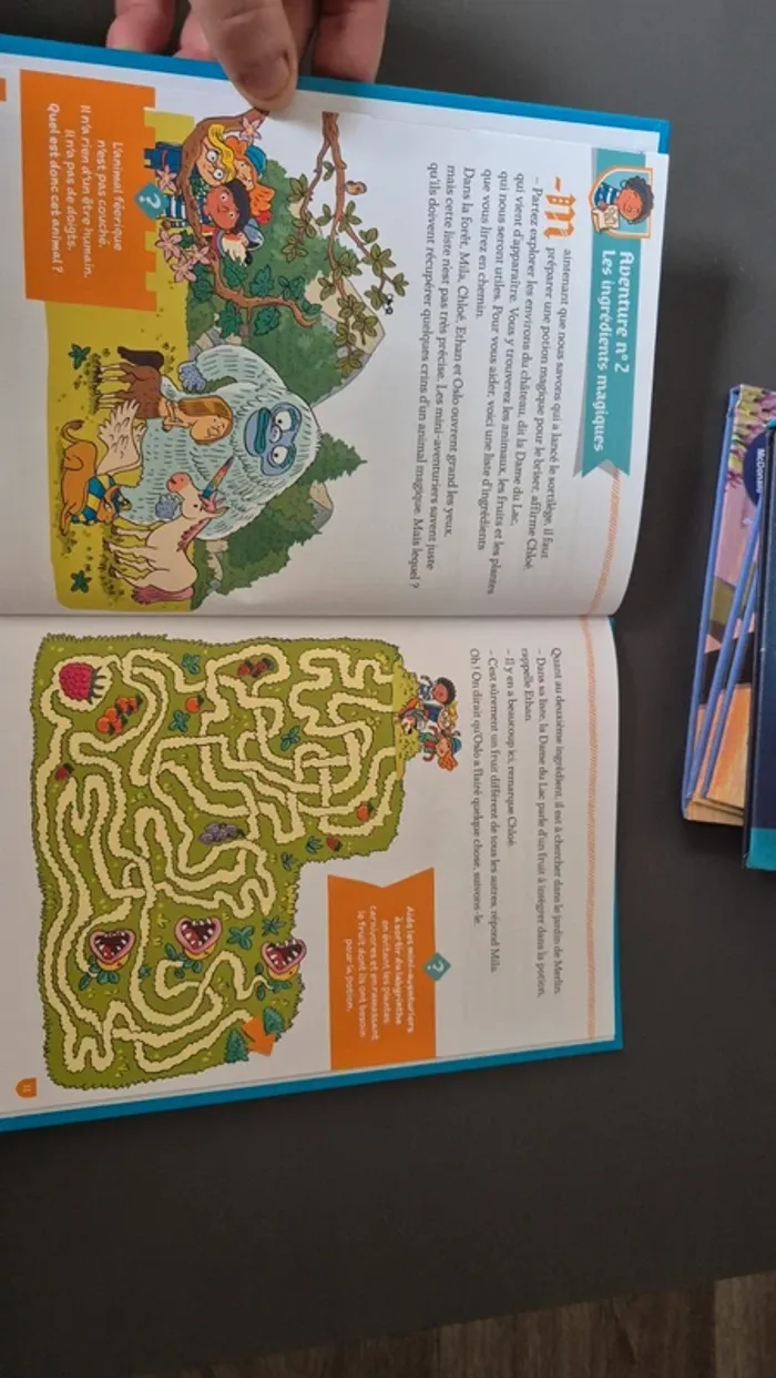 Le Château Endormi du Roi Arthur - photo numéro 2