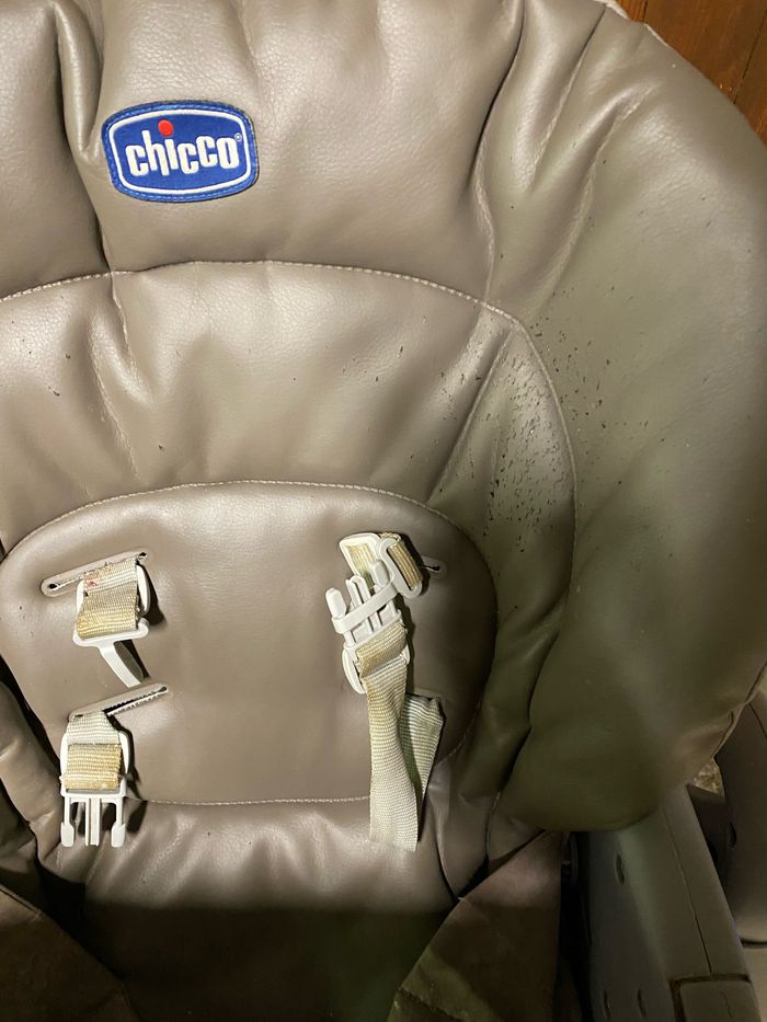 Chaise Chicco Polly Magic - photo numéro 2