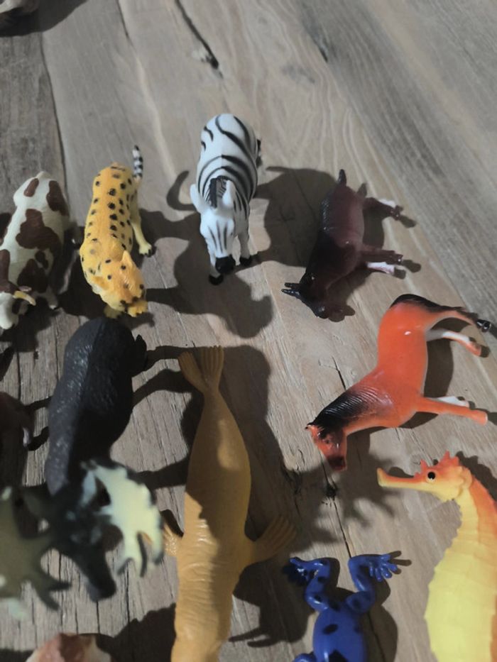 Animaux - photo numéro 4