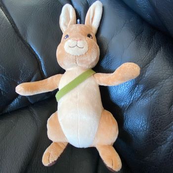 Doudou peluche lapin marron sac vert peter rabbit  20cm