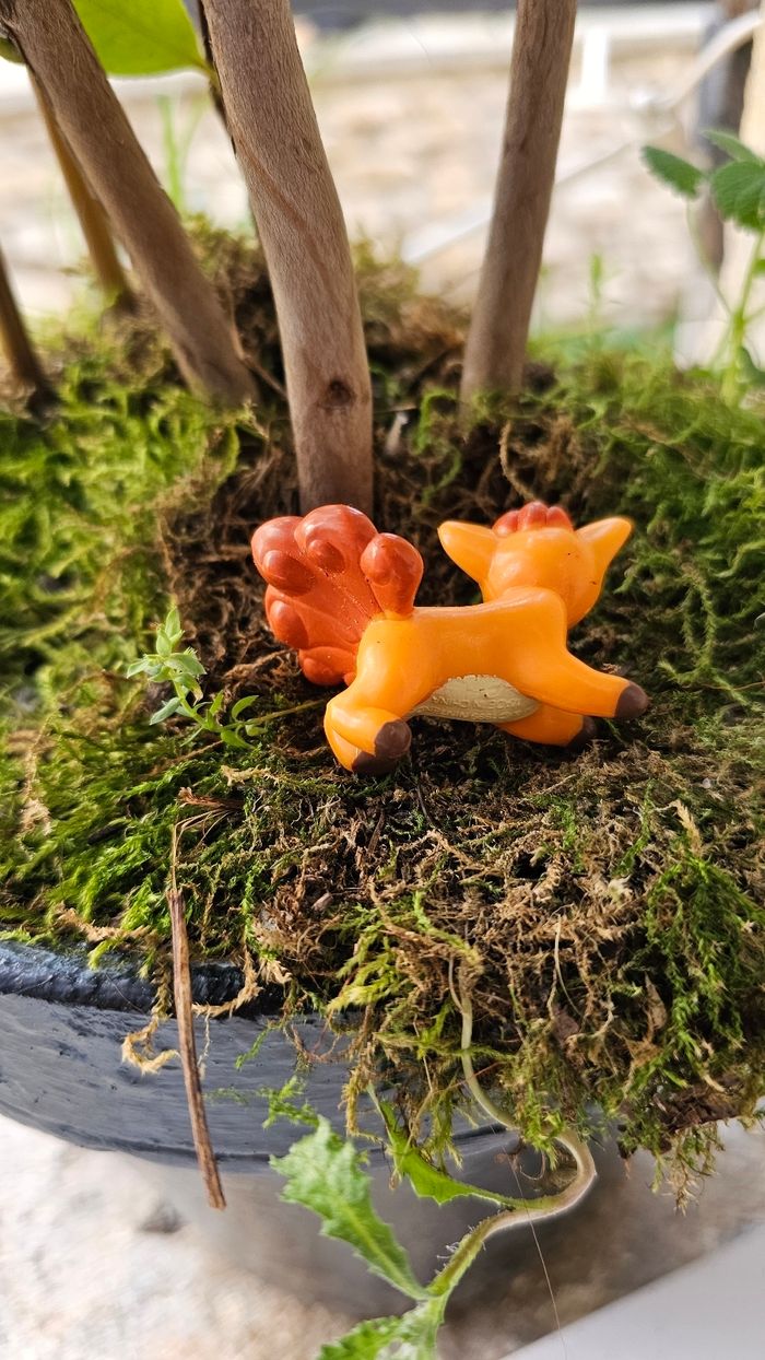 Super figurine Pokemon Nintendo Goupix - photo numéro 5