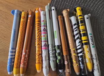 Stylo effaçable animaux
