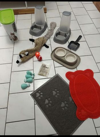 Nombreux accessoires pour animaux