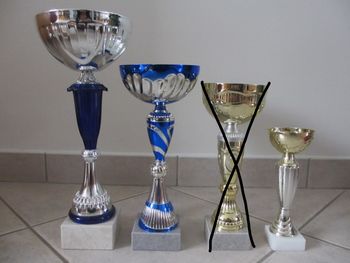 Lot de 3 coupes sportives