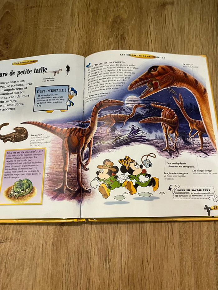 Livre sur les dinosaures - Disney - photo numéro 2