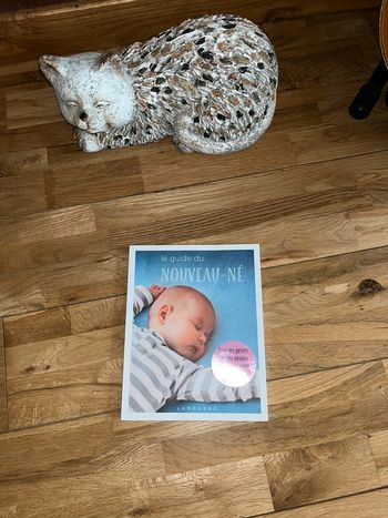 Livre le guide du nouveau né Larousse comme neuf