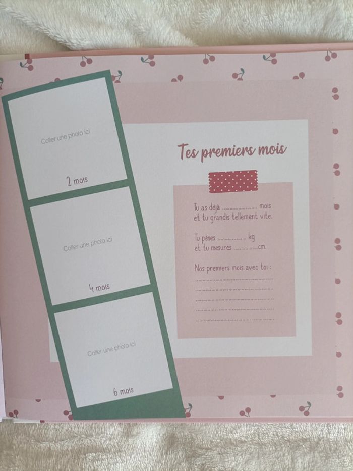 Lot : Livre de naissance - photo numéro 3