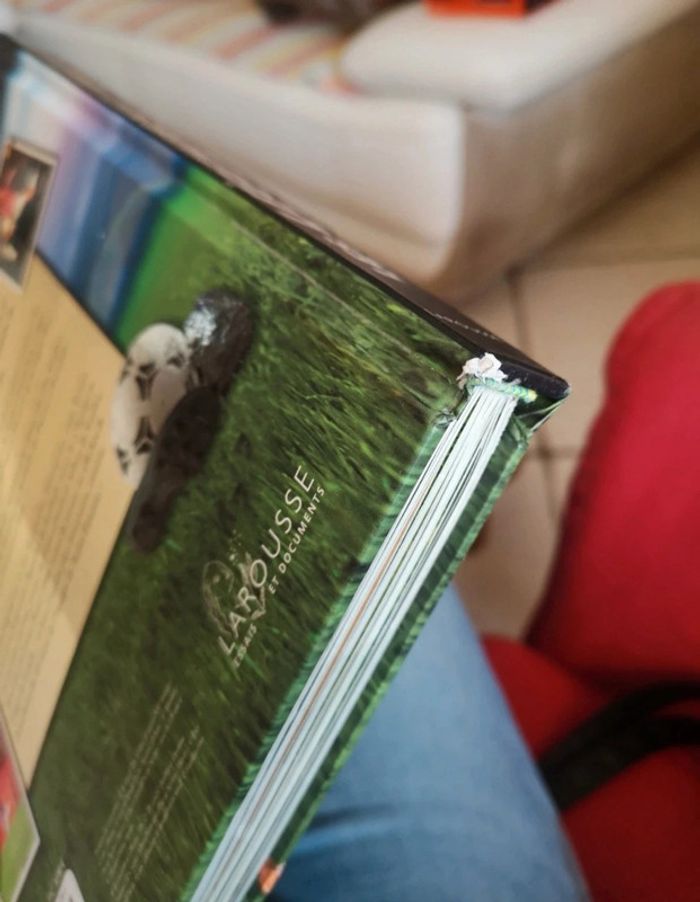 Livre "les légendes du foot" édition larousse - photo numéro 5