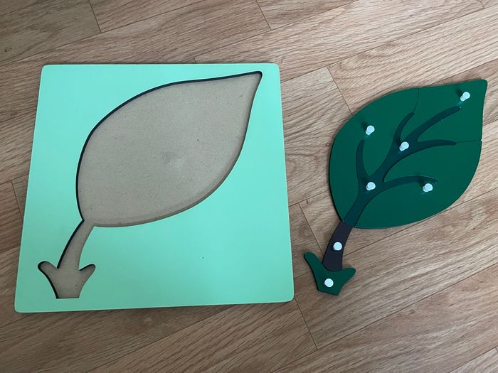 Puzzle Botanique Montessori : la feuille - photo numéro 6