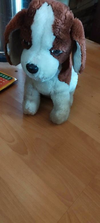 Nounours chien