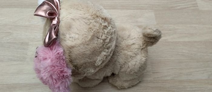 Présent pets - photo numéro 3
