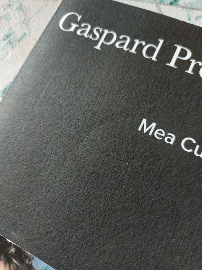 Gaspard Proust - Mea Culpa - photo numéro 10