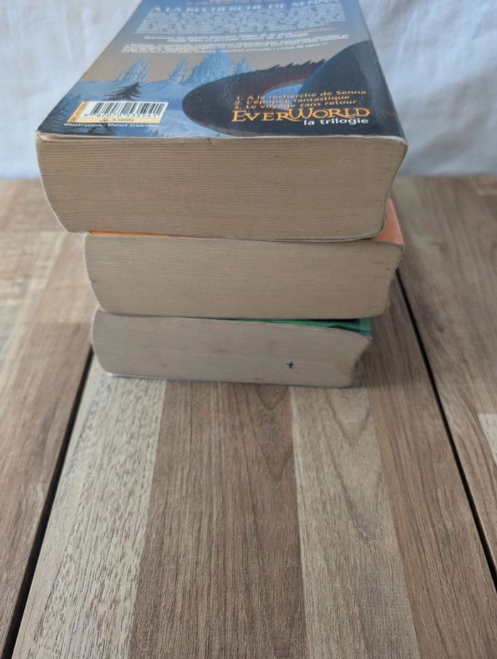Lot livres Everworld - photo numéro 14