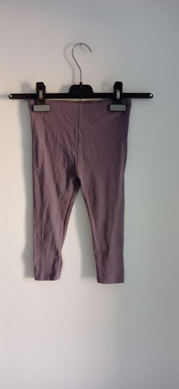 Legging pat & ripaton 36 mois