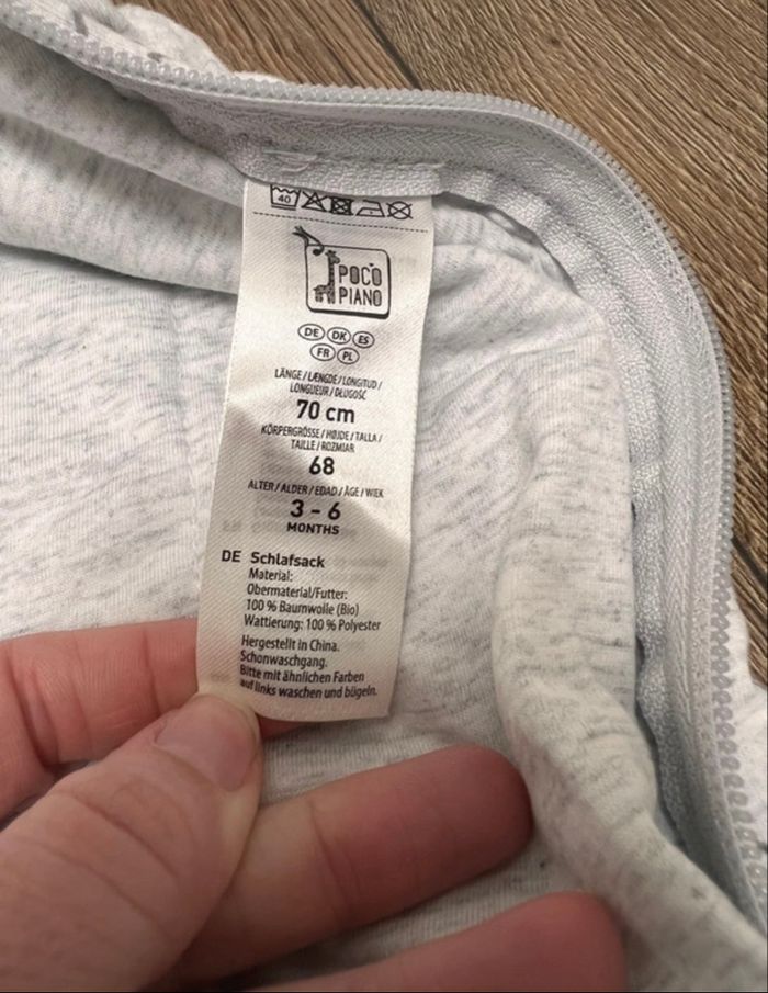 Gigoteuse grise - photo numéro 3