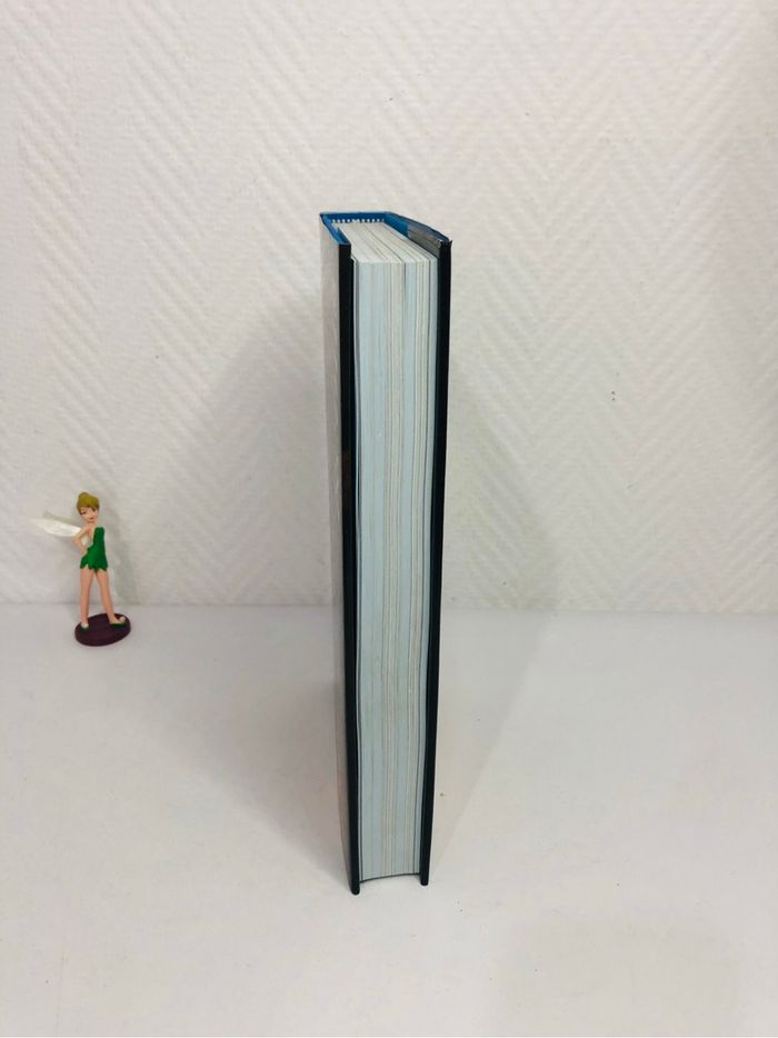 Patrick Demouy Reims : la cathédrale - photo numéro 2