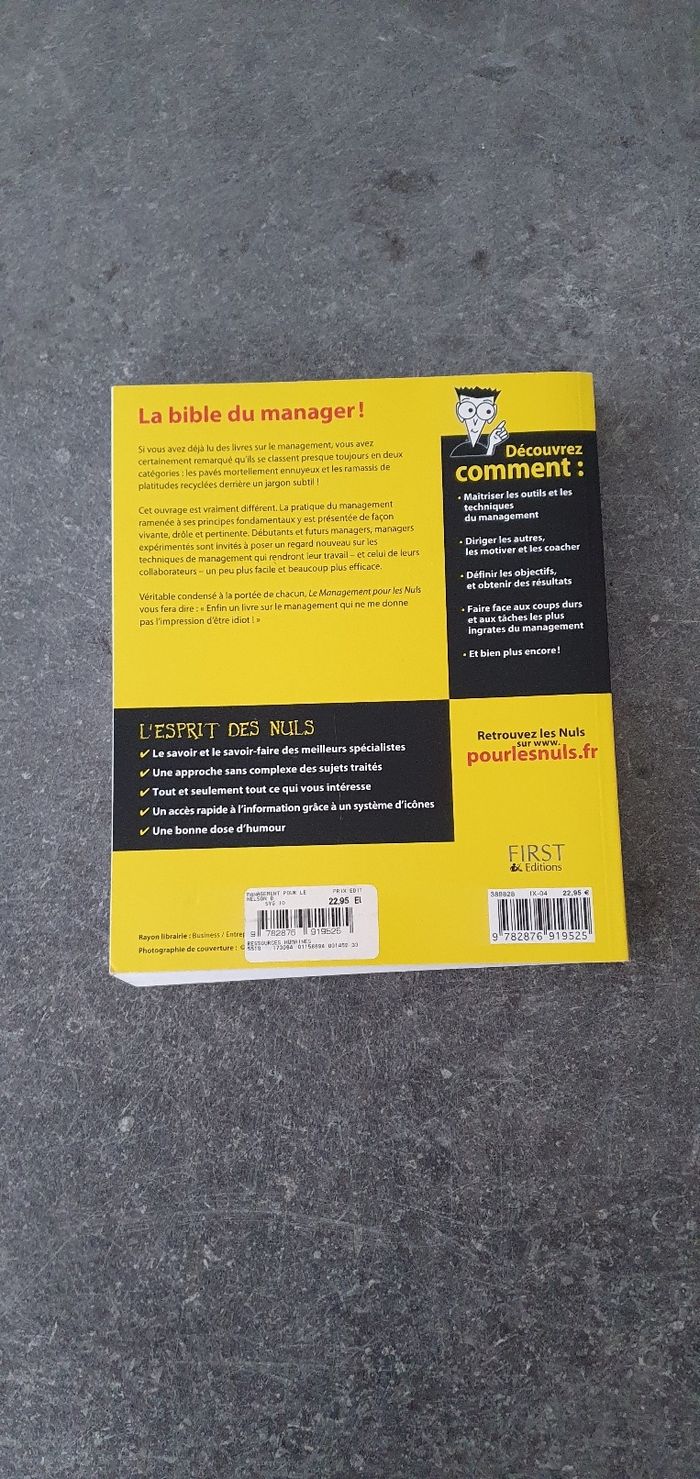 Le management pour les nuls - photo numéro 2