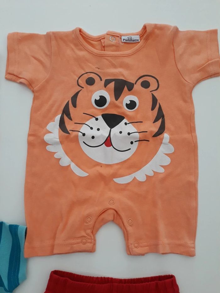 Lot 3 mois - photo numéro 3