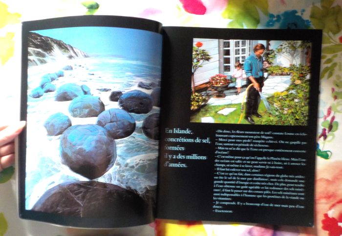 DE L'EAU FRAICHE POUR LOUISE de M.A. LE ROCHAIS Ed. L'Ecole des Loisirs - photo numéro 3