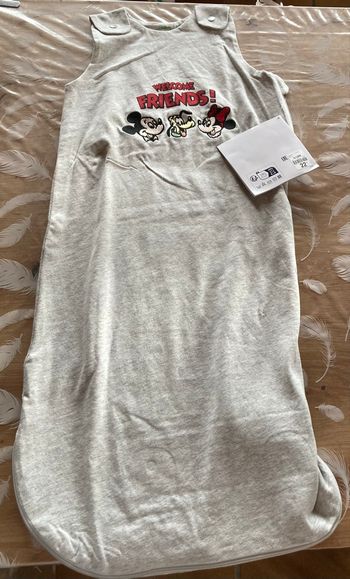 Gigoteuse disney 6-18 mois neuve