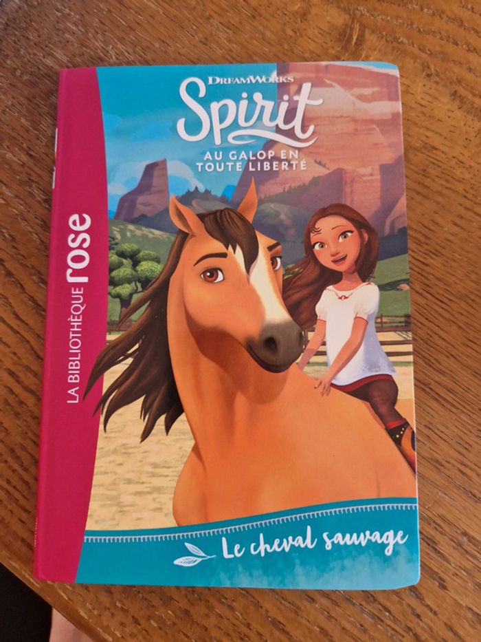 Livre de poche Bibliothèque Rose