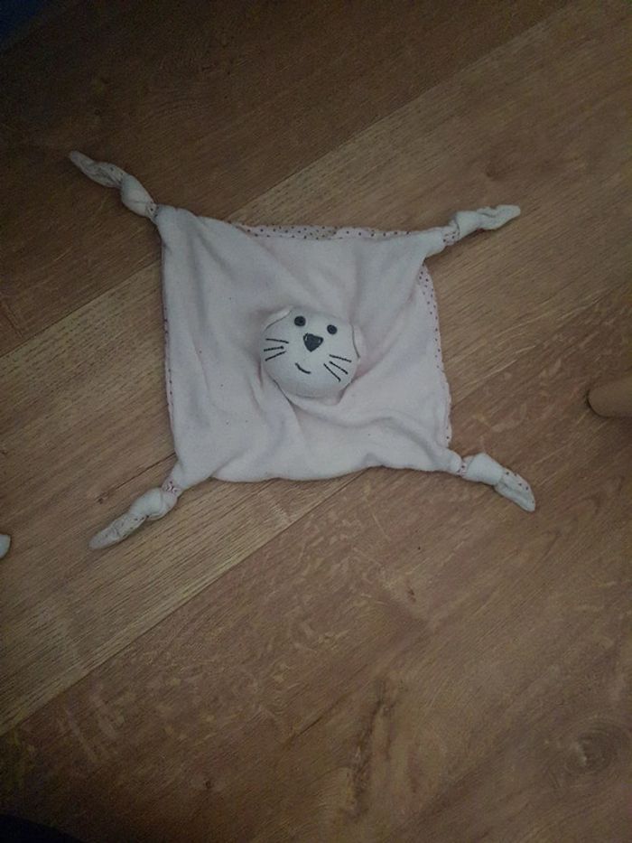 Doudou chat