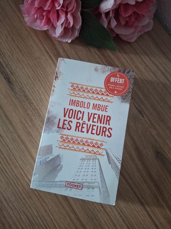Livre : Voici venir les rêveurs