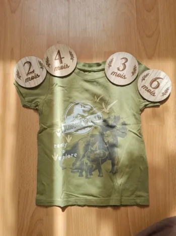 Tee shirt jurassic