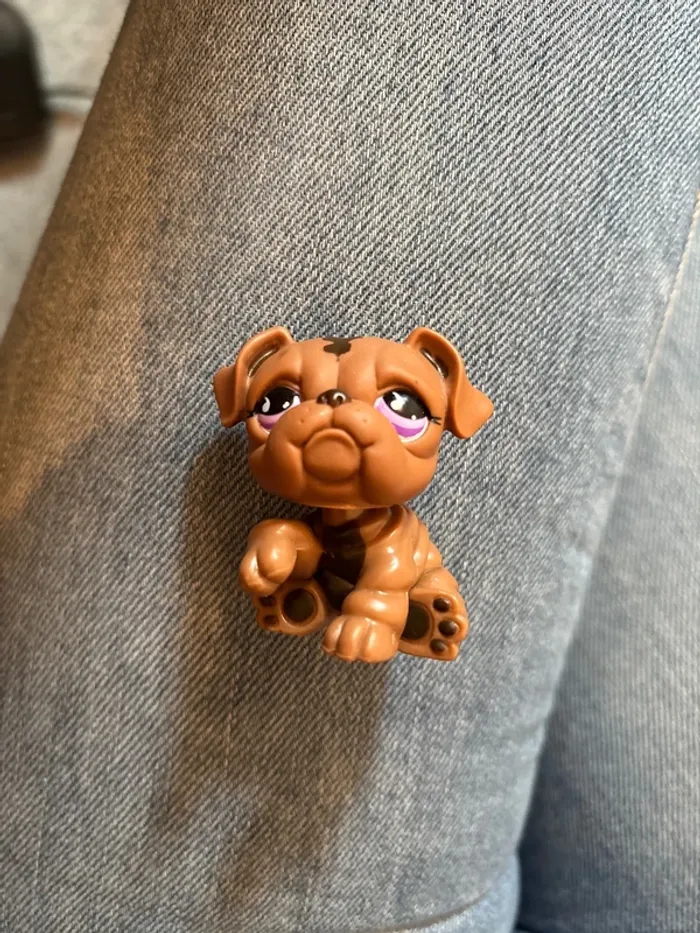 Pet shop bulldog marron