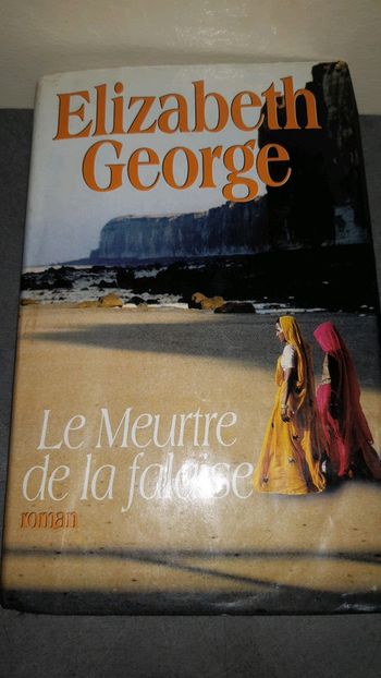 Roman  le meurtre  de la falaise