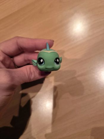 Pet shop poisson vert