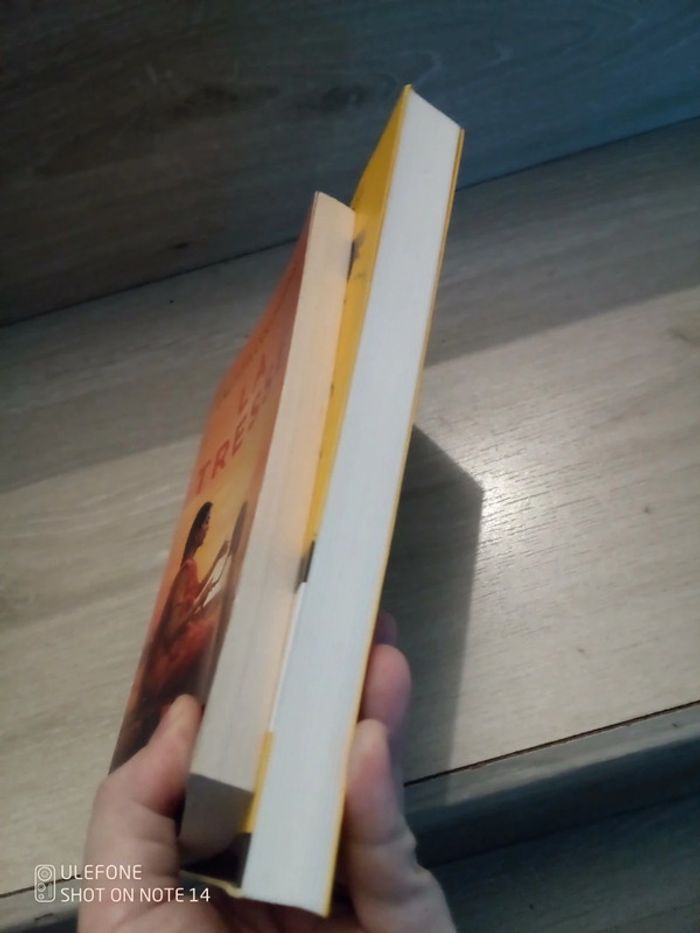 Lot de 2 romans la tresse + le cerf volant - photo numéro 3