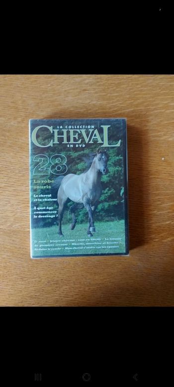 DVD