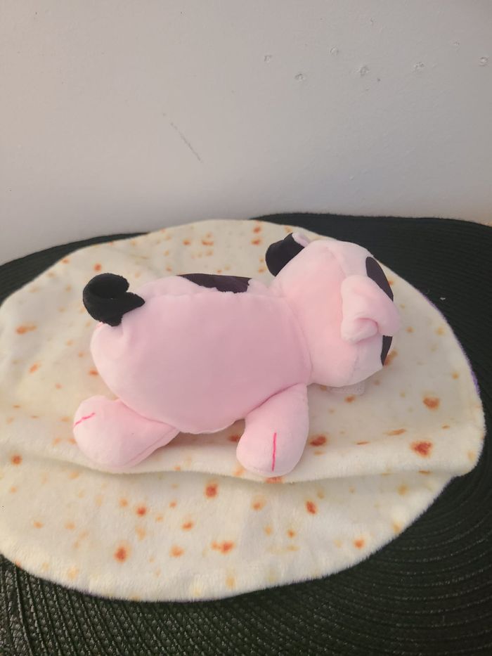 CUTETITOS - photo numéro 4