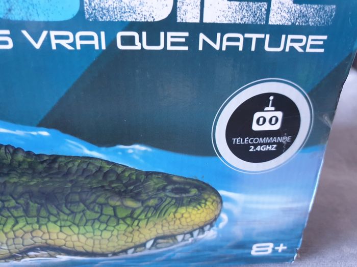 Crocodile télécommandé - photo numéro 4