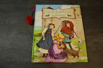Livre Boules de poils & Cie Un chien prisonnier Fleurus