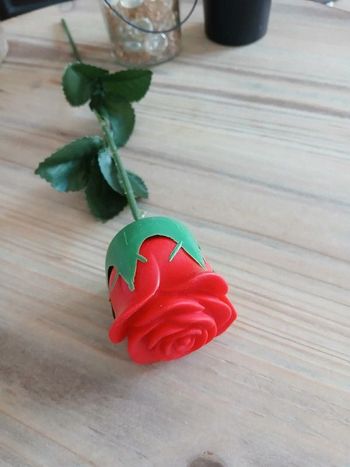 Rose rouge éternelle 🌹 avec lumière - Guipai