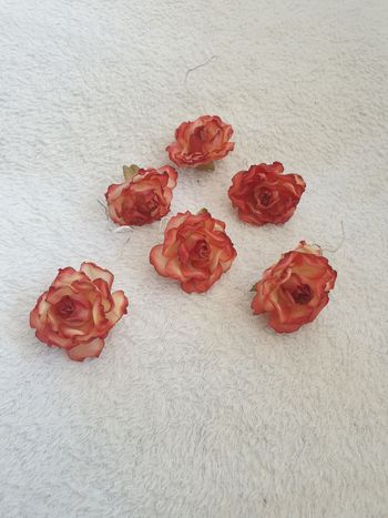 Ensemble de 6 roses neuves