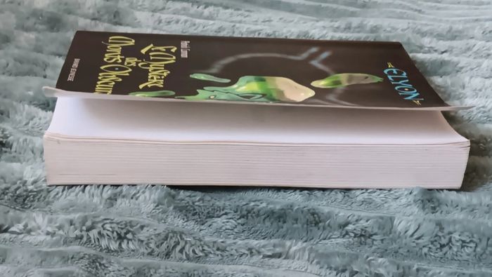 Livre le mystère des monts obscurs - photo numéro 4