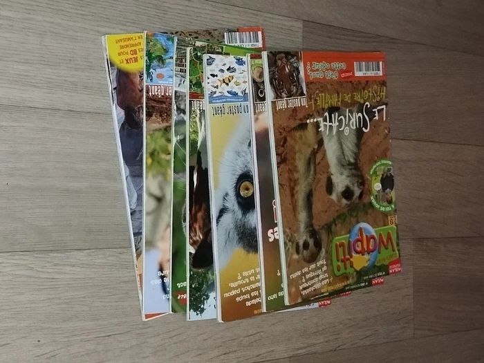 Lot de 7 magazines Wapiti année 2008-09 L025  7585218311 - photo numéro 4