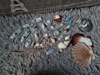 Lot décorations coquillages