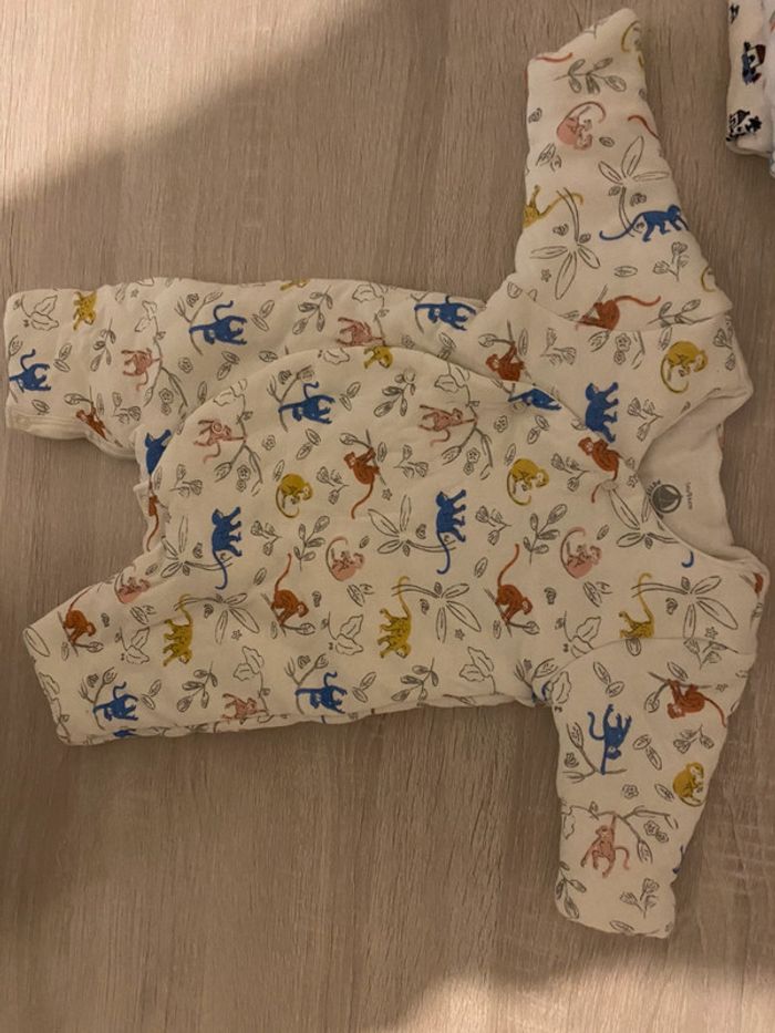 Grenouillère épaisse - photo numéro 3