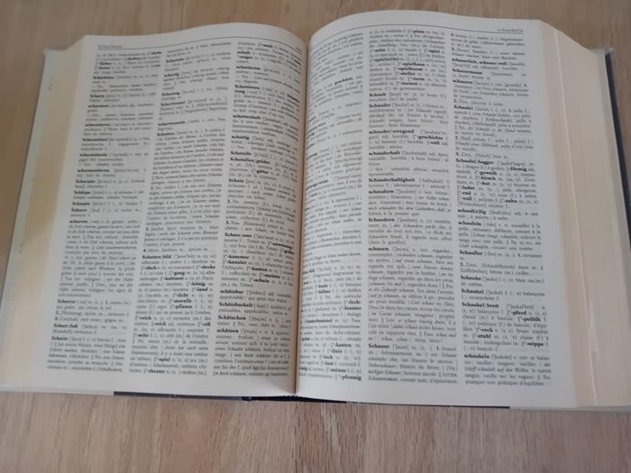 Grand dictionnaire Français/Allemand- Allemand/Français Larousse - Excellent état - photo numéro 2