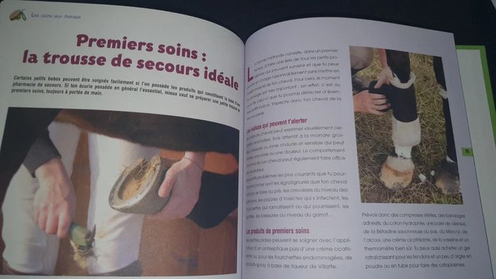 Tout savoir sur les chevaux - photo numéro 3