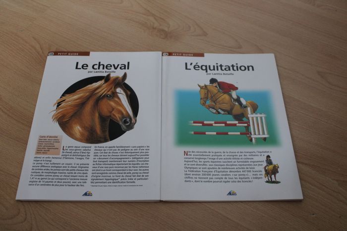 Lot 2 petits guides