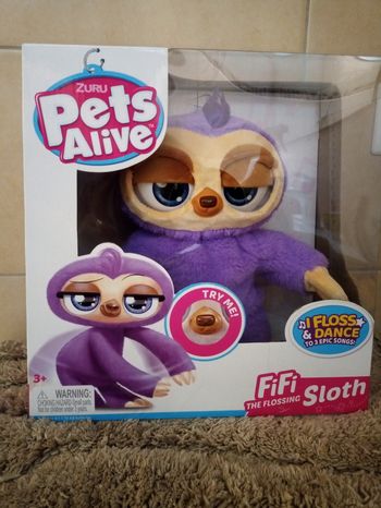Fifi sloth pets alive