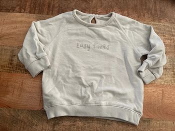 Sweat taille 12 mois